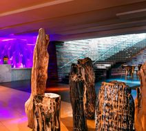 W Scottsdale Lobby