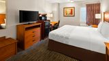Hotel Detroit Airport Room