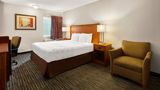 Hotel Detroit Airport Room