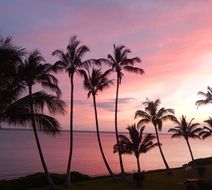 Hotel Moloka'i Exterior