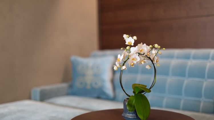 Grand Hotel Fasano-Villa Principe Lobby