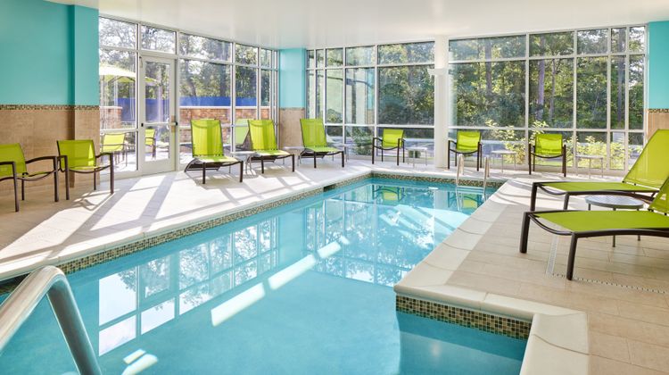 SpringHill Suites Frederica Pool
