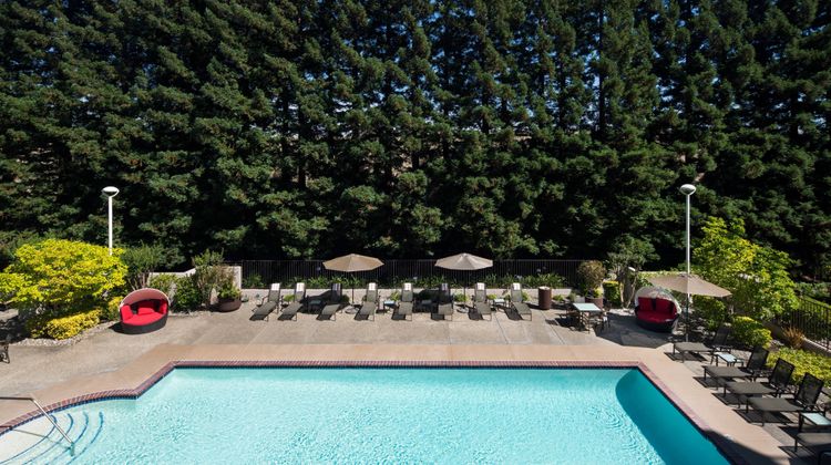 San Ramon Marriott Pool