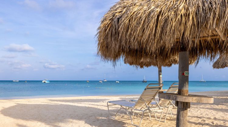 Marriott's Aruba Surf Club Beach