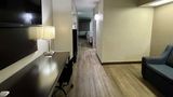 Red Roof Inn & Suites Jackson - Richland Room