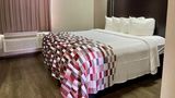 Red Roof Inn & Suites Jackson - Richland Room