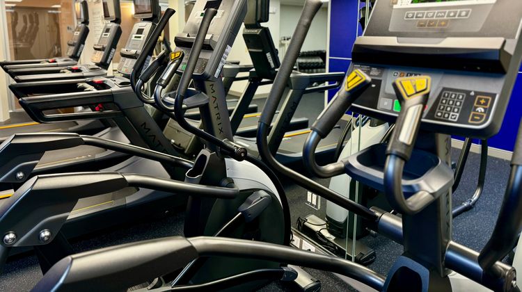 Holiday Inn Express & Suites Oldsmar Health Club