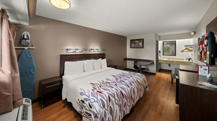 Red Roof Inn Dallas - DFW Airport Room