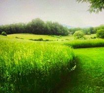 Inness Exterior