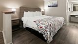 <b>Red Roof Inn & Suites Monroe, NC Room</b>. Images powered by <a href="https://www.leonardoworldwide.com/" title="Leonardo Worldwide" target="_blank">Leonardo</a>.