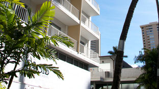 Oasis Hotel Waikiki