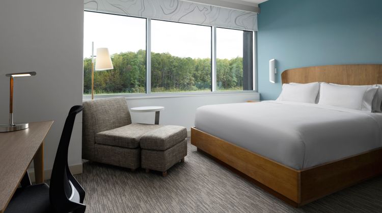 Element Orlando International Drive Suite