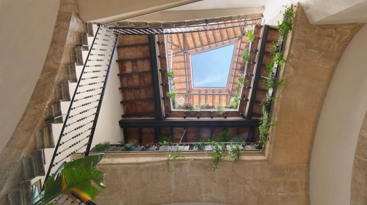 Antigua Palma Hotel Other