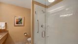 Fairfield Inn-Suites Detroit Metro Arpt Room