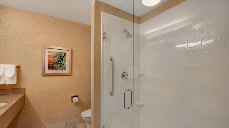 Fairfield Inn-Suites Detroit Metro Arpt Room