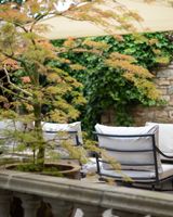 The Feathers Hotel