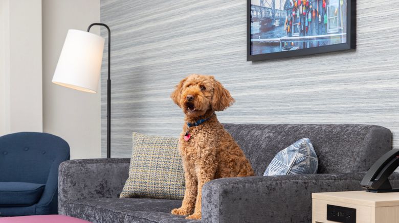 <b>Home2 Suites by Hilton Kittery Other</b>. Images powered by <a href="https://www.leonardoworldwide.com/" title="Leonardo Worldwide" target="_blank">Leonardo</a>.