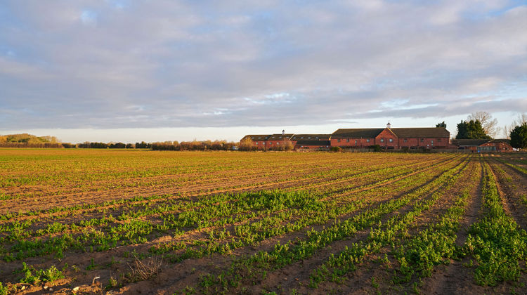 The Barn Hotel Exterior