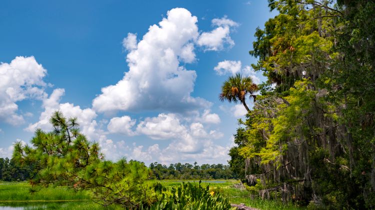 Holiday Inn Express Silver Springs-Ocala Other