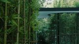 The PuLi Hotel and Spa Recreation