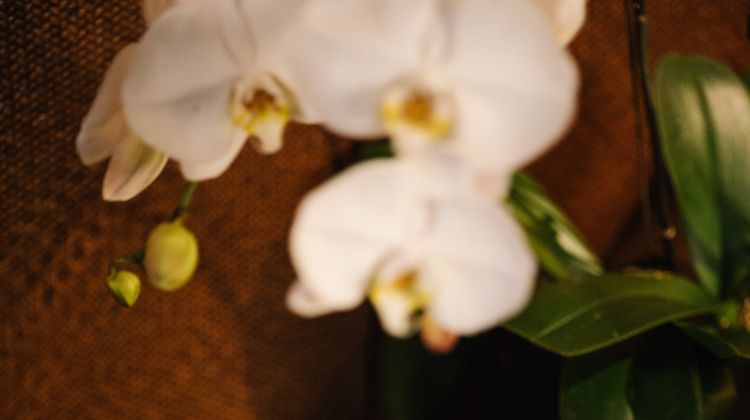 The PuLi Hotel and Spa Spa