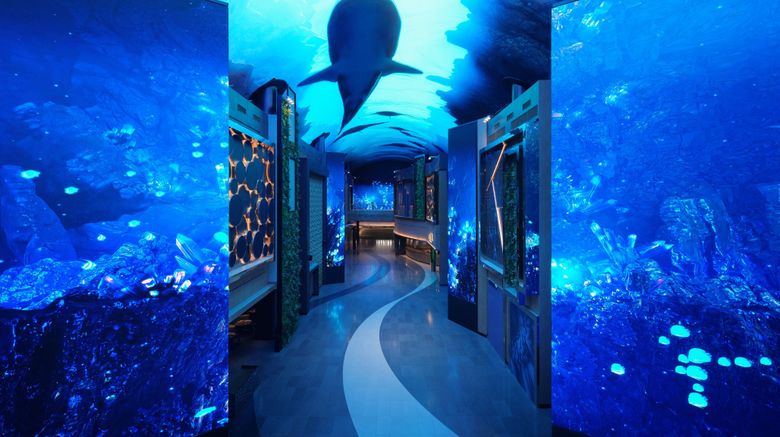 <b>Inspire Resort Other</b>. Images powered by <a href="https://www.leonardoworldwide.com/" title="Leonardo Worldwide" target="_blank">Leonardo</a>.