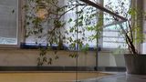 Hotel Hecco Lobby
