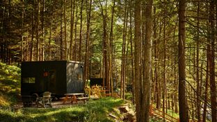 Postcard Cabins East Catskills
