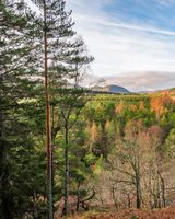 Darroch Learg Hotel
