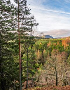 Darroch Learg Hotel