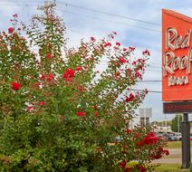 Red Roof Inn Bowling Green Exterior