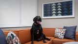 Homewood Suites by Hilton Portsmouth Dow Other