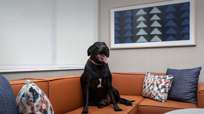 <b>Homewood Suites by Hilton Portsmouth Dow Other</b>. Images powered by <a href="https://www.leonardoworldwide.com/" title="Leonardo Worldwide" target="_blank">Leonardo</a>.