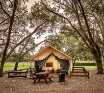 Westgate River Ranch Resort Exterior