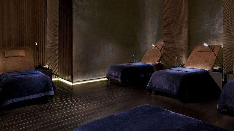 <b>The Ritz-Carlton, Kyoto Recreation</b>. Images powered by <a href="https://www.leonardoworldwide.com/" title="Leonardo Worldwide" target="_blank">Leonardo</a>.