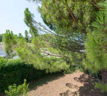 B&B Hotel Montelimar Exterior