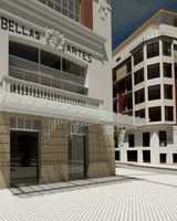 Hotel Palacio Bellas Artes San
