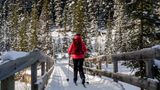 <b>Lake Louise Inn Recreation</b>. Images powered by <a href="https://www.leonardoworldwide.com/" title="Leonardo Worldwide" target="_blank">Leonardo</a>.