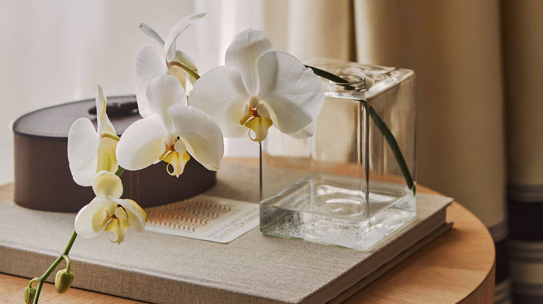 <b>Four Seasons Hotel and Residences Room</b>. Images powered by <a href="https://www.leonardoworldwide.com/" title="Leonardo Worldwide" target="_blank">Leonardo</a>.