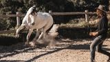 Finca La Donaira Recreation
