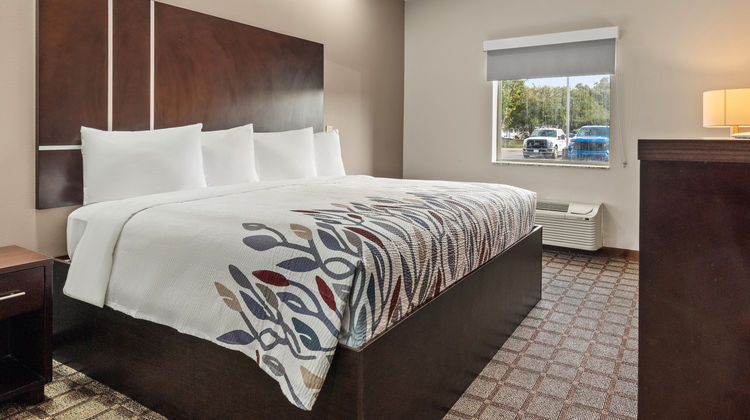 Red Roof Inn Baton Rouge Room