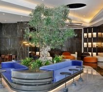 Hotel Local Dubai Jumeirah Vill Lobby