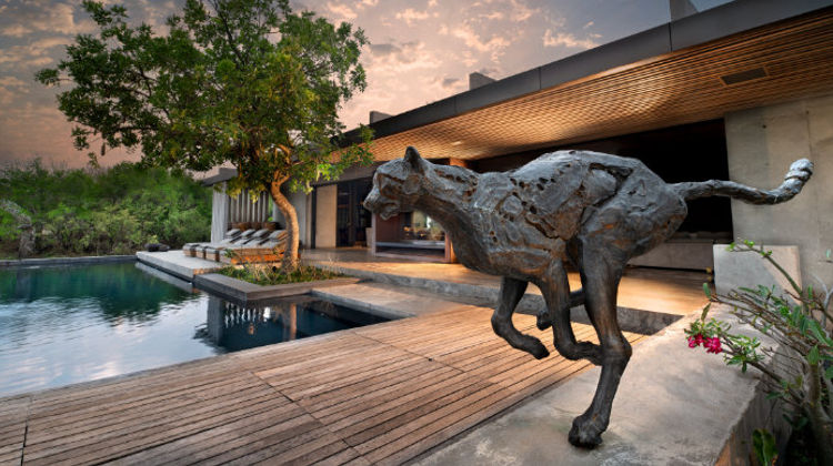 Chetah Plains Private Game Reserve Pool