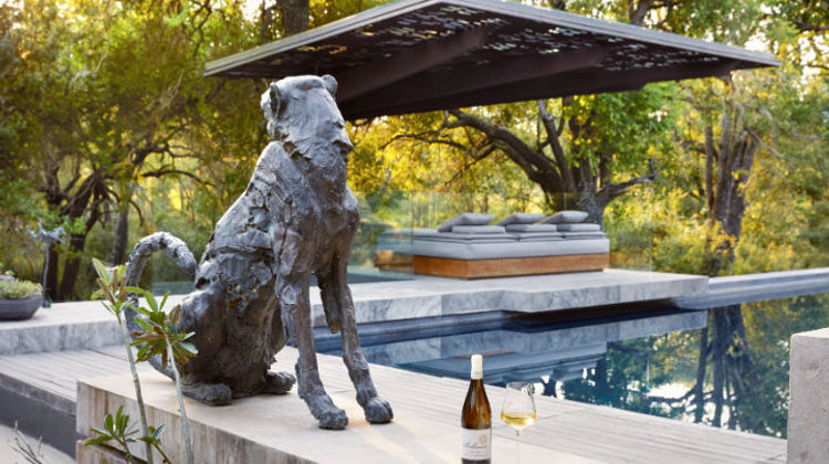 Chetah Plains Private Game Reserve Room