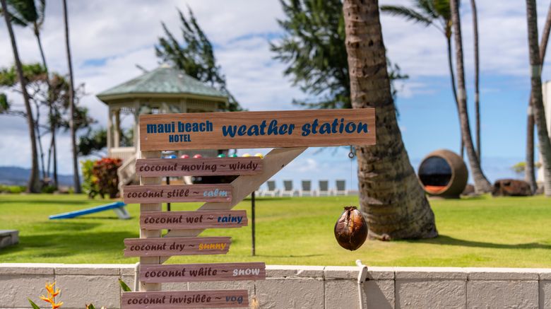 <b>Maui Beach Hotel Other</b>. Images powered by <a href="https://www.leonardoworldwide.com/" title="Leonardo Worldwide" target="_blank">Leonardo</a>.