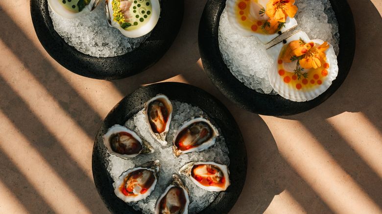 <b>MIRA Earth Studios Valle de Guadalupe Restaurant</b>. Images powered by <a href="https://www.leonardoworldwide.com/" title="Leonardo Worldwide" target="_blank">Leonardo</a>.