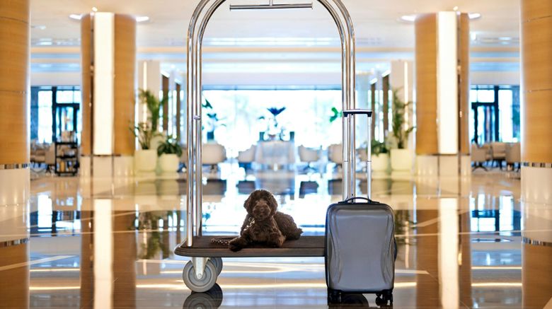 <b>Marriott Resort Palm Jumeirah, Dubai Other</b>. Images powered by <a href="https://www.leonardoworldwide.com/" title="Leonardo Worldwide" target="_blank">Leonardo</a>.