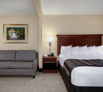 Lexington Expo Hotel Room