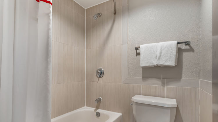 Red Roof Inn Houston - Brookhollow Room