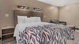 Red Roof Inn Houston - Brookhollow Room